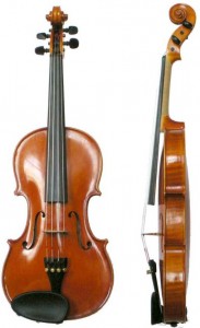 Violin_VL100